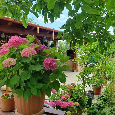 Feher Rozsa Apartman Cserszegtomaj Buitenkant foto