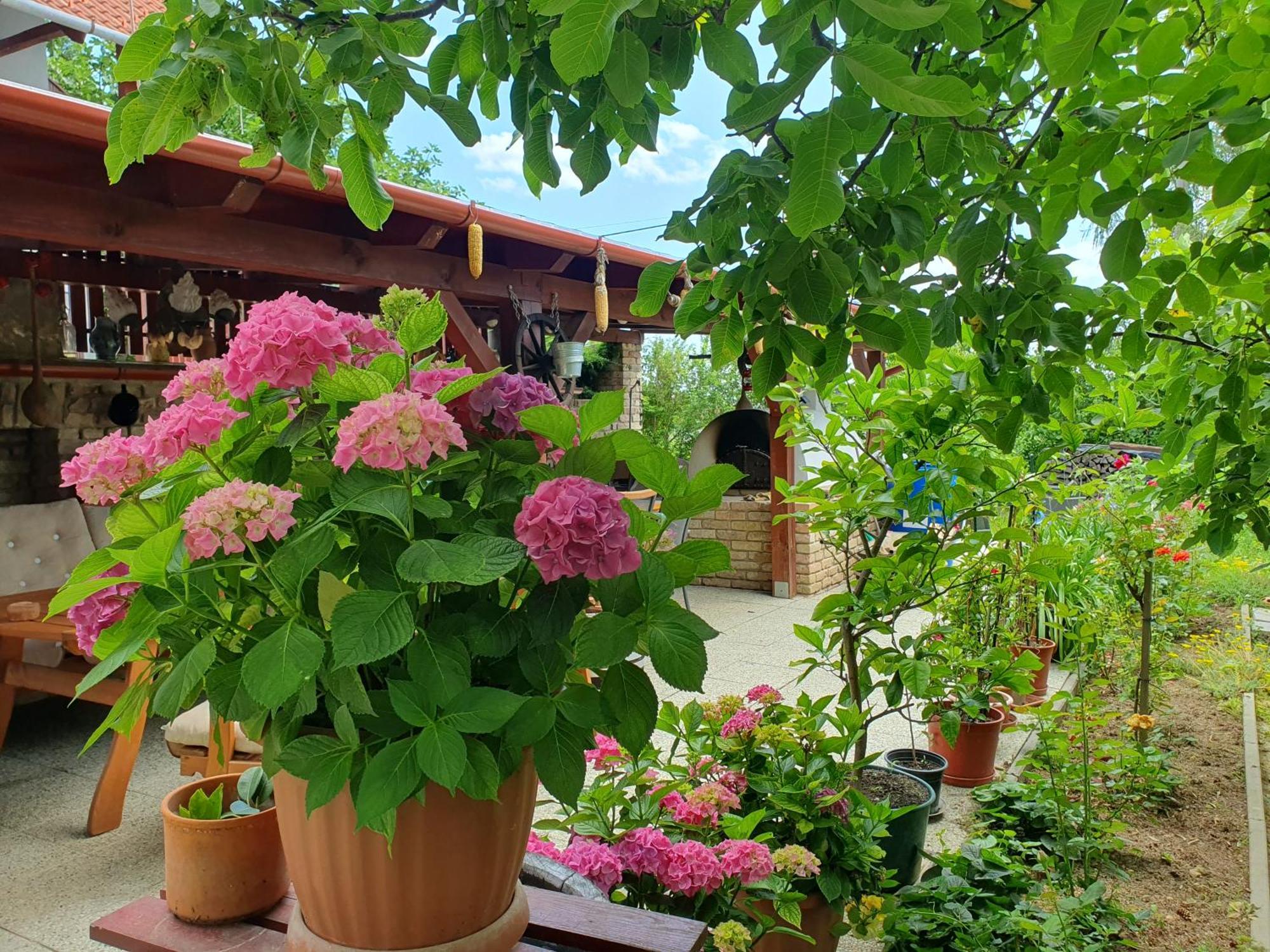Feher Rozsa Apartman Cserszegtomaj Buitenkant foto