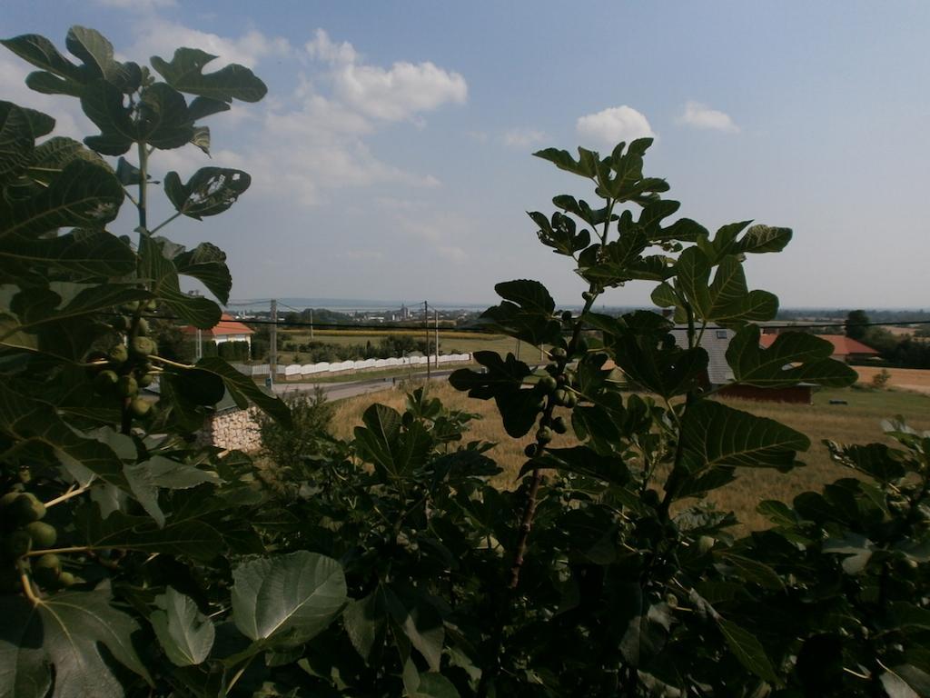 Feher Rozsa Apartman Cserszegtomaj Kamer foto